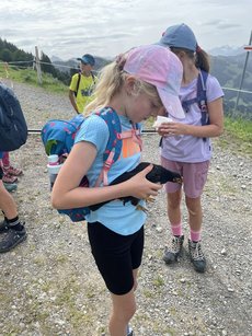 IMG_7310