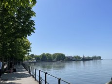IMG_7023