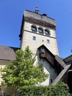 IMG_6983